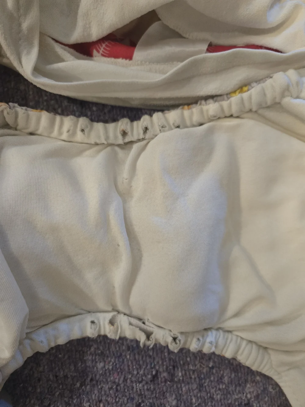 Charlie Banana Resuable Cloth Diaper Covers With Inserts